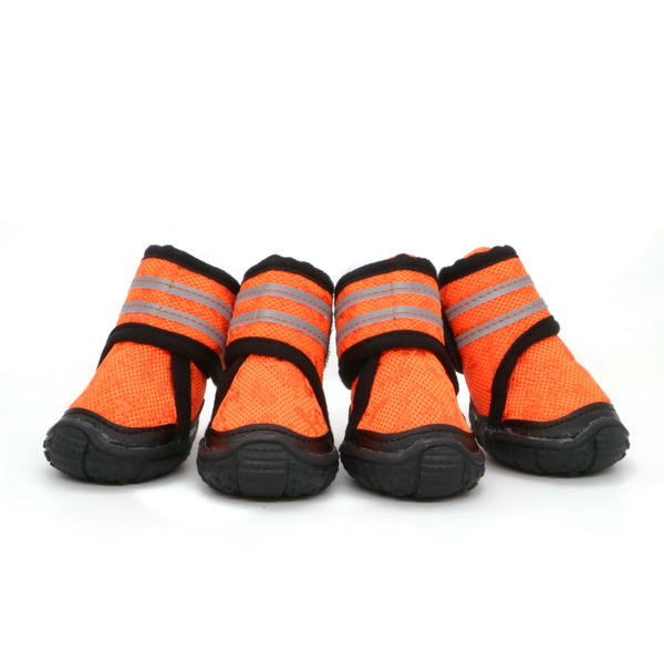 dog shoes for the summer